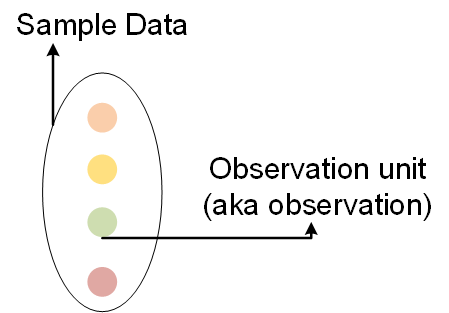 definition of sample data vs observation